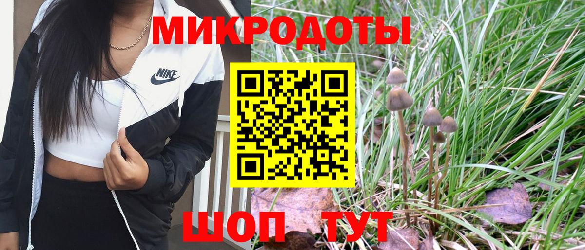 Псилоцибиновые грибы прущие грибы  Вход с VPN  Чапаевск 